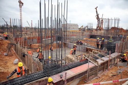 香雪制藥臨空經濟區項目加足馬力全力推進項目建設