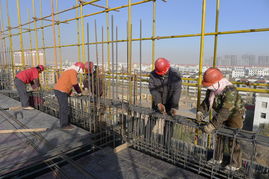 金昌市行政中心工程全速推進，一建公司聚力攻堅顯擔當